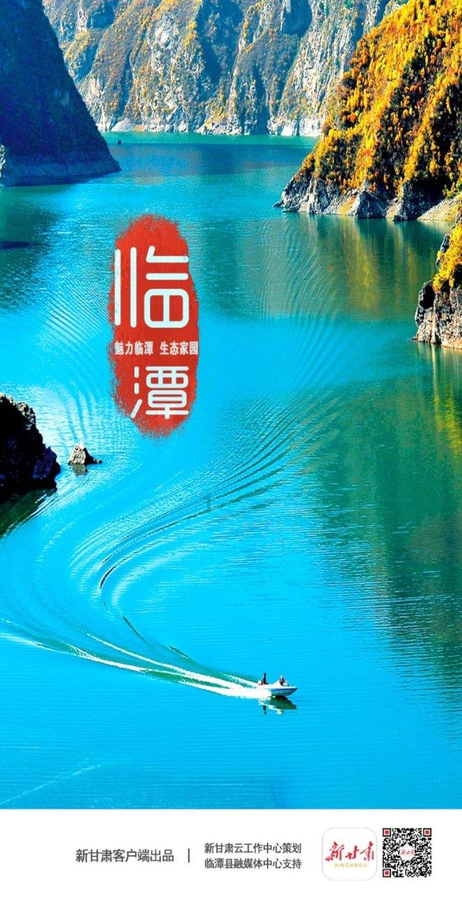 种鸽育种应该往鸽舍放这些东西