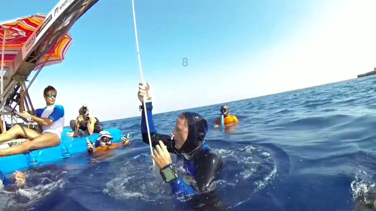 逃离野丛之森