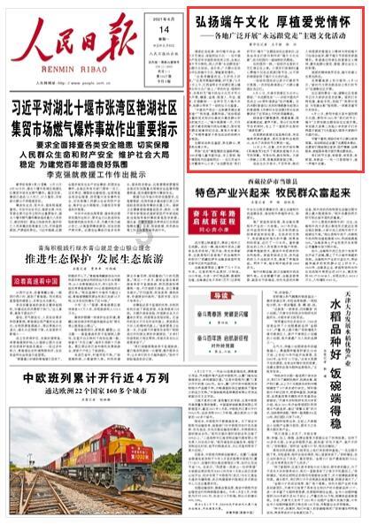 救援可爱的狮子